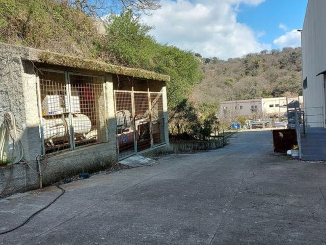 Fabbricati industriali in vendita