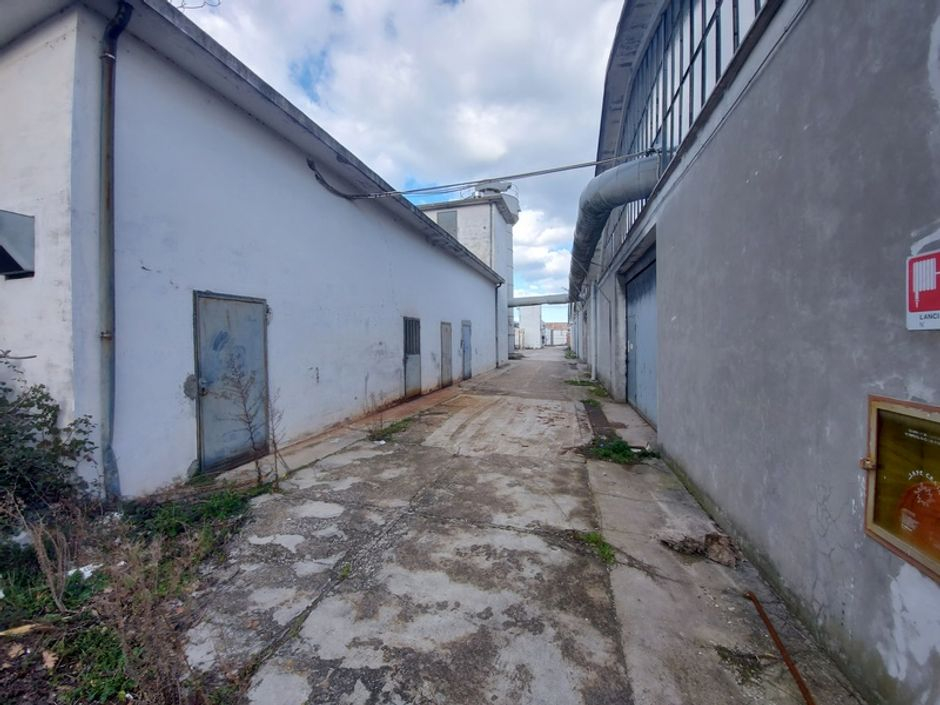 #15981 Opificio con uffici e alloggio custode in vendita - foto 4