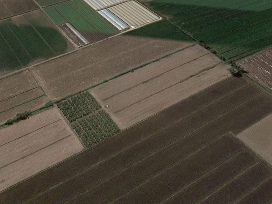 #16012 Terreno agricolo di 32.436 mq in vendita - foto 4