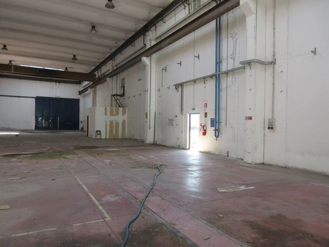 Fabbricati industriali in vendita