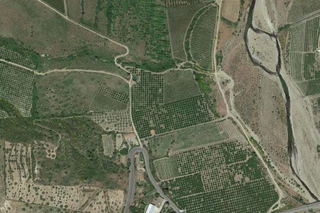 Agricoli in vendita