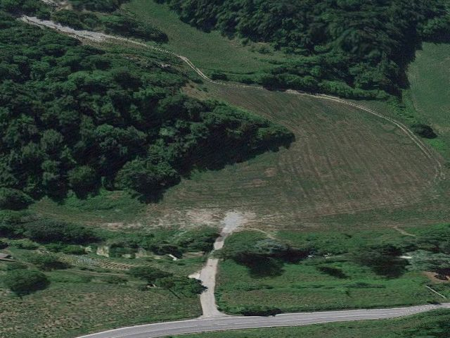 Agricoli in vendita