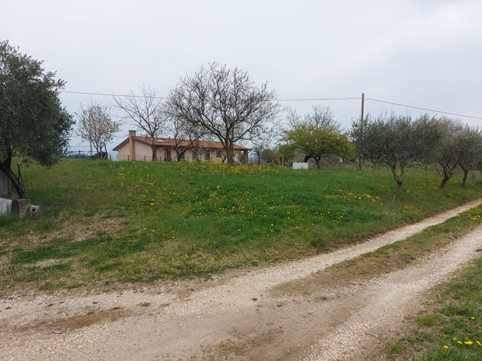 #16197 Magazzino con terreni agricoli in vendita - foto 6