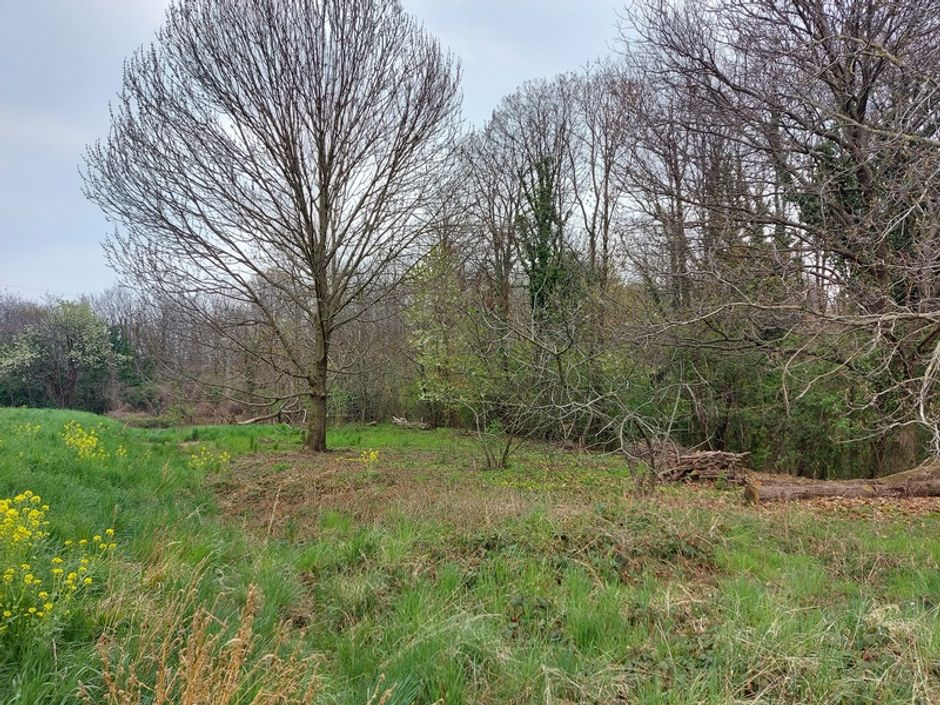 #16197 Magazzino con terreni agricoli in vendita - foto 11