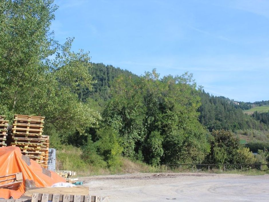 #17491 Porzione di capannone ad uso produttivo in vendita - foto 6