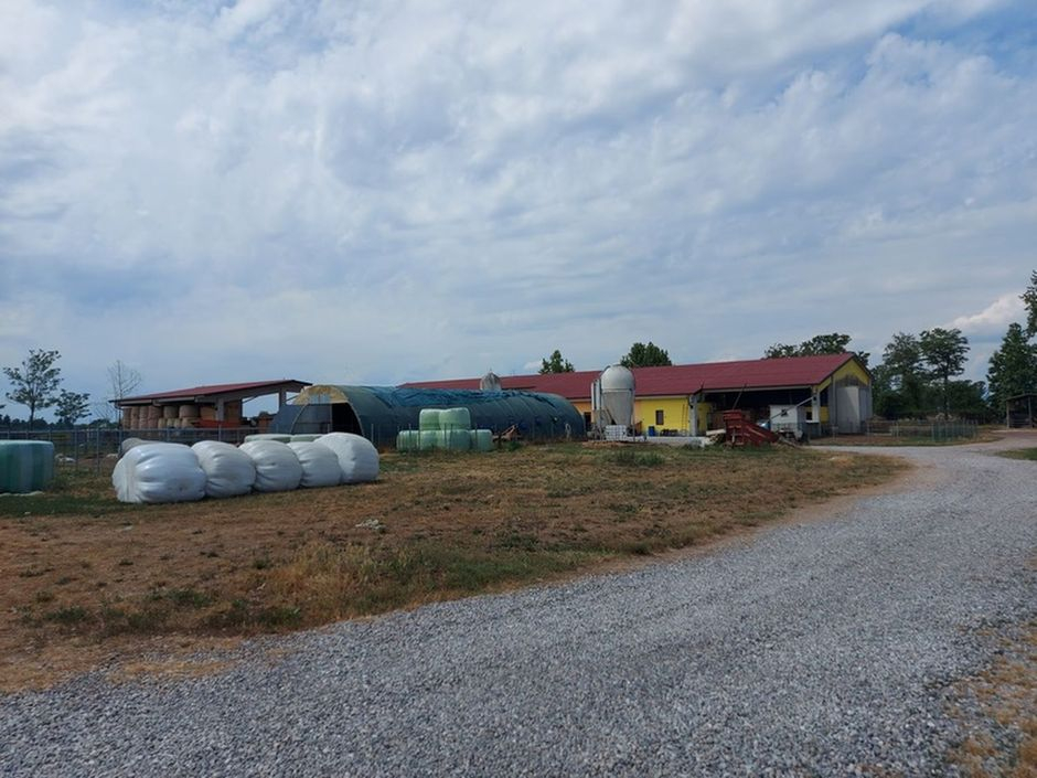#18226 Azienda agricola con terreni di 5.955 mq in vendita - foto 2