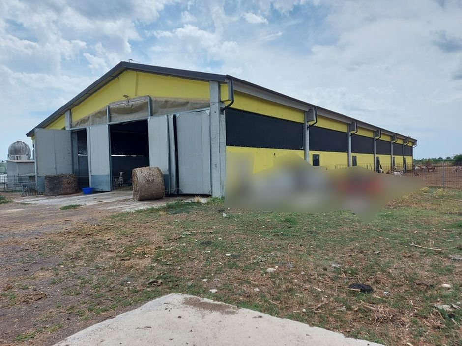 #18226 Azienda agricola con terreni di 5.955 mq in vendita - foto 3