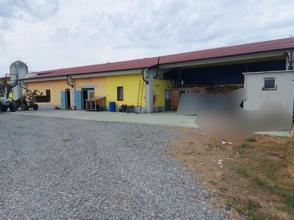 #18226 Azienda agricola con terreni di 5.955 mq in vendita - foto 4