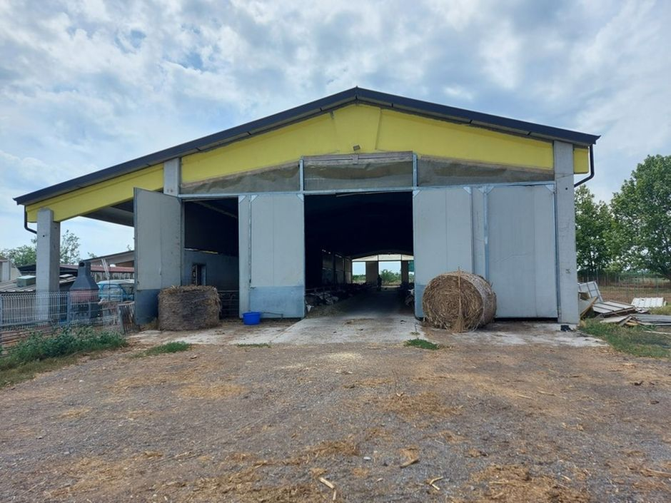 #18226 Azienda agricola con terreni di 5.955 mq in vendita - foto 5