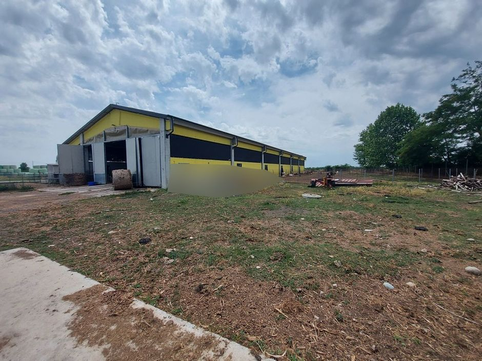 #18226 Azienda agricola con terreni di 5.955 mq in vendita - foto 6