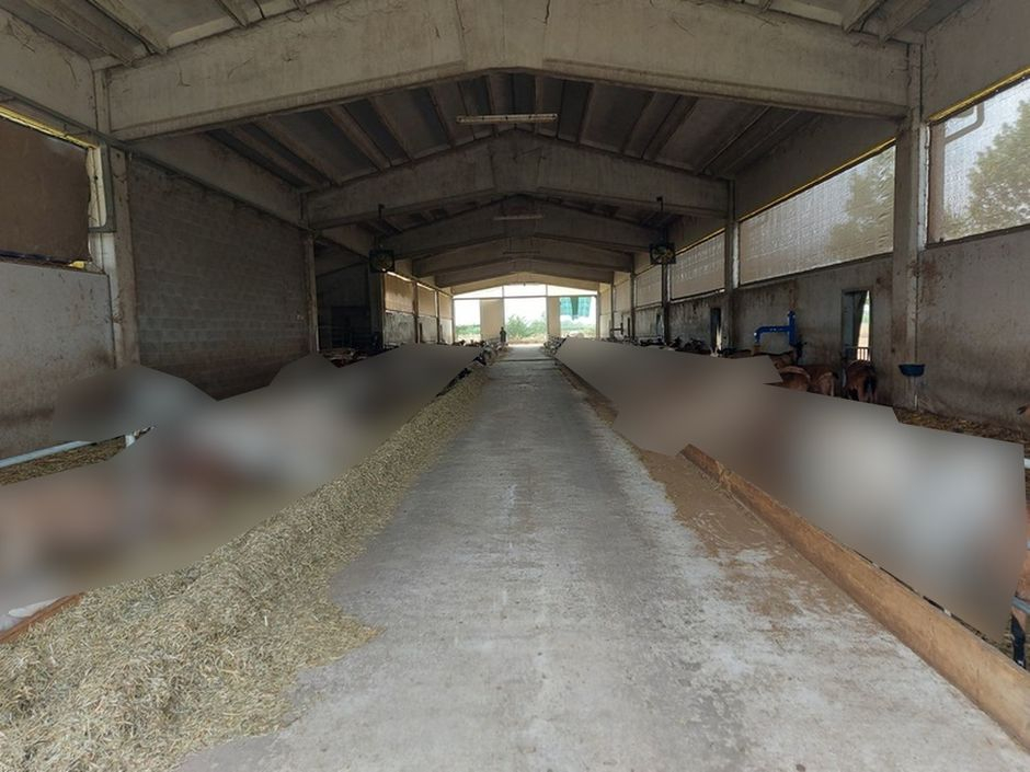 #18226 Azienda agricola con terreni di 5.955 mq in vendita - foto 7