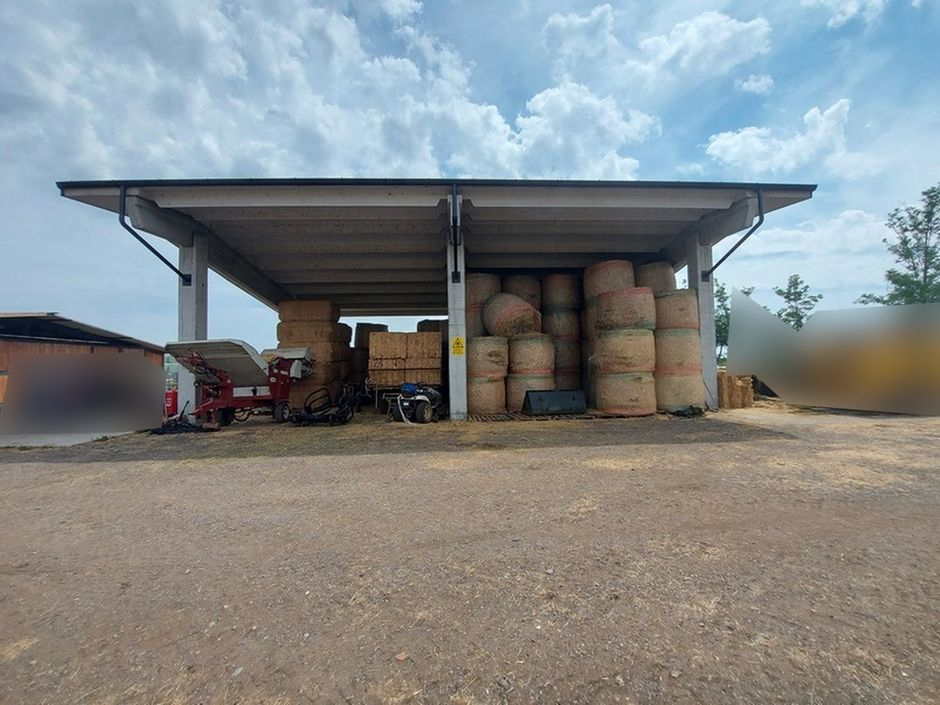 #18226 Azienda agricola con terreni di 5.955 mq in vendita - foto 9