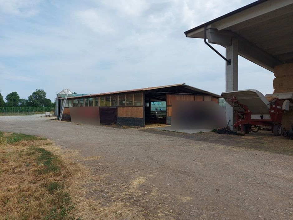 #18226 Azienda agricola con terreni di 5.955 mq in vendita - foto 10