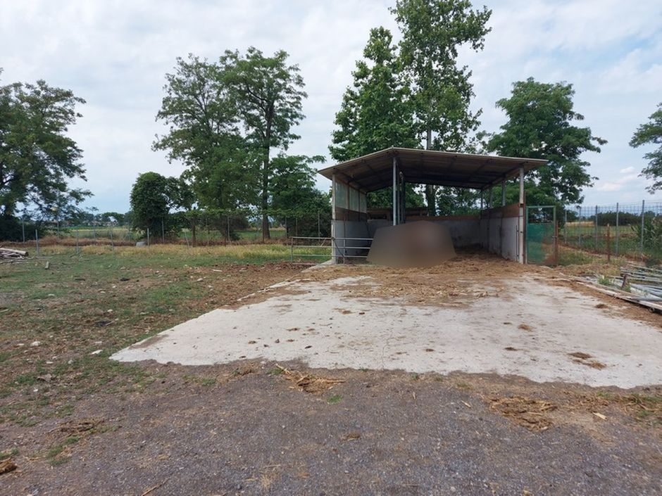#18226 Azienda agricola con terreni di 5.955 mq in vendita - foto 13
