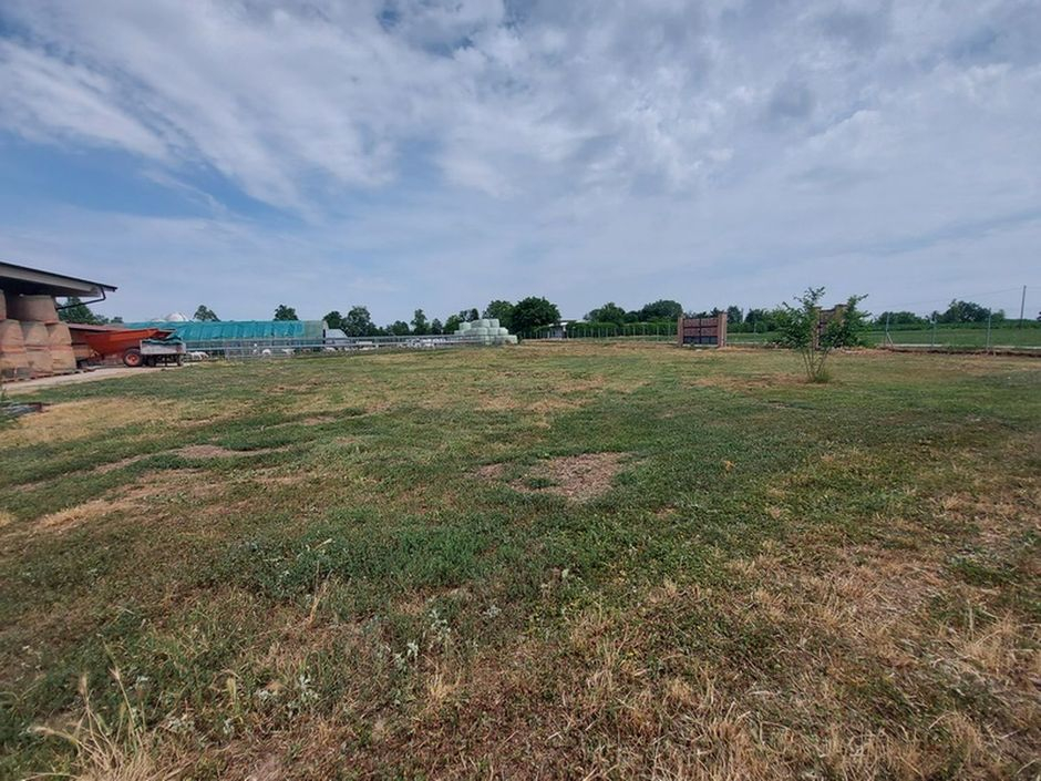 #18226 Azienda agricola con terreni di 5.955 mq in vendita - foto 15