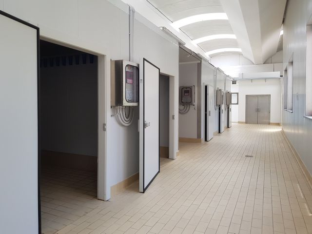 Fabbricati industriali in vendita