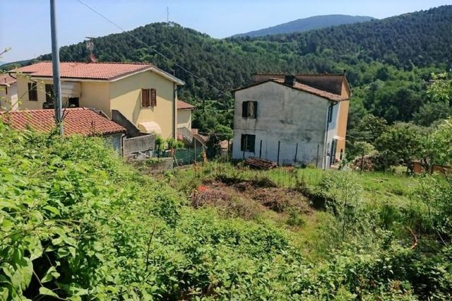 Agricoli in vendita