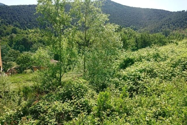 Agricoli in vendita