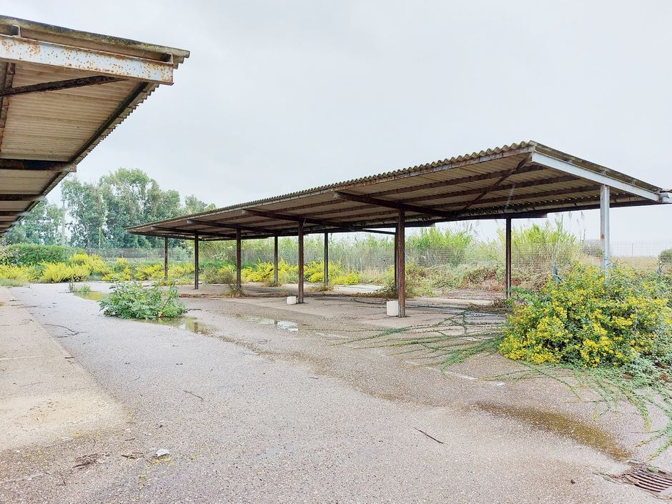 #18475 Capannone direzionale/artigianale con ampia area pertinenziale in vendita - foto 6