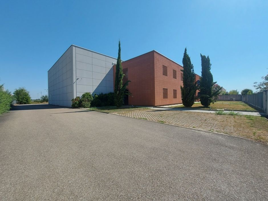 #18665 Capannone con uffici e area scoperta esclusiva in vendita - foto 4