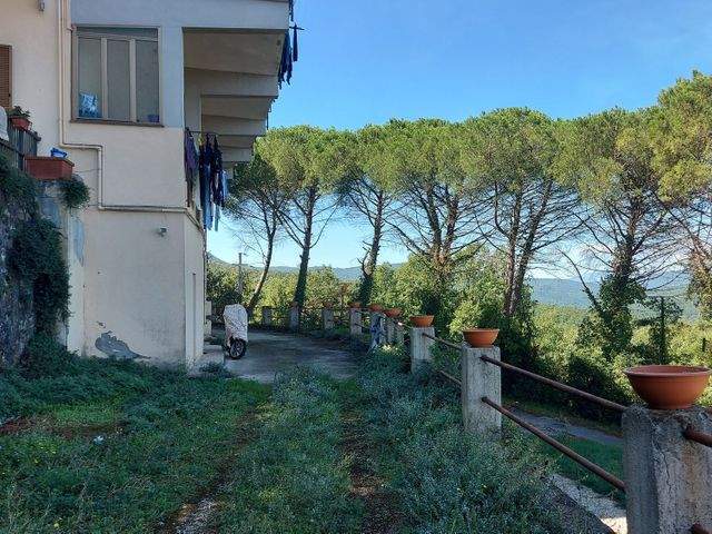 Appartamenti in vendita