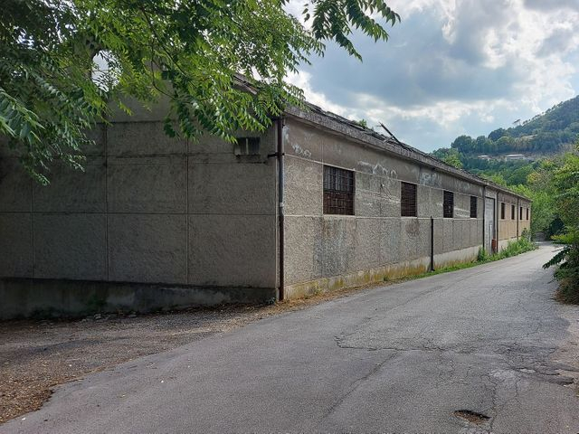 Fabbricati industriali in vendita