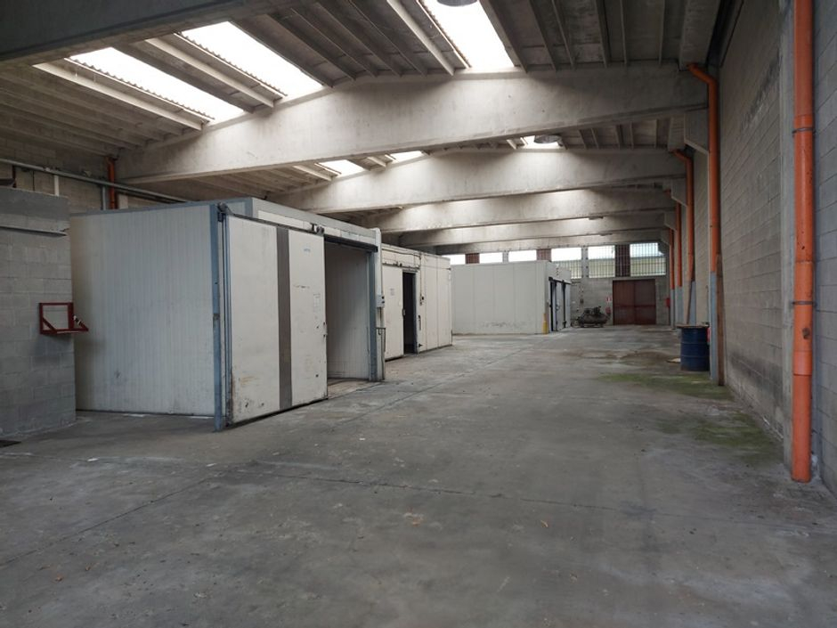 #18889 Capannone industriale in vendita - foto 4