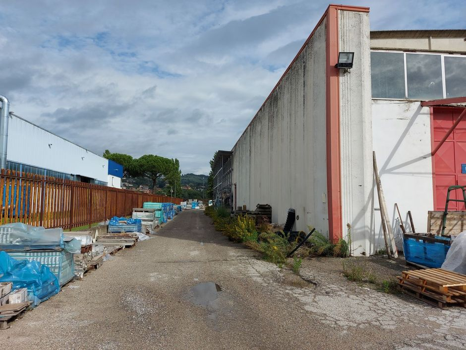 #18950 Capannone con zona espositiva e corte in vendita - foto 3