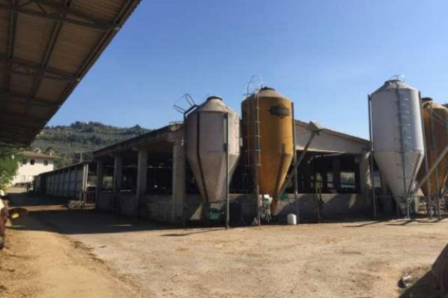 Stabilimenti produttivi in vendita