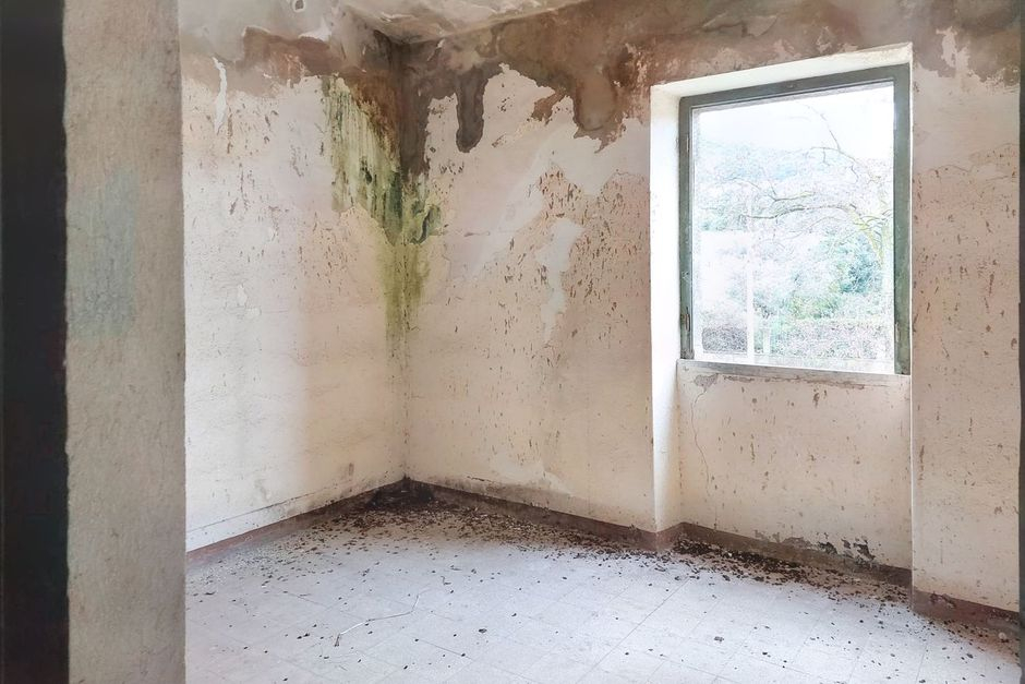#19452 Complesso artigianale con cortile e pertinenze in vendita - foto 15