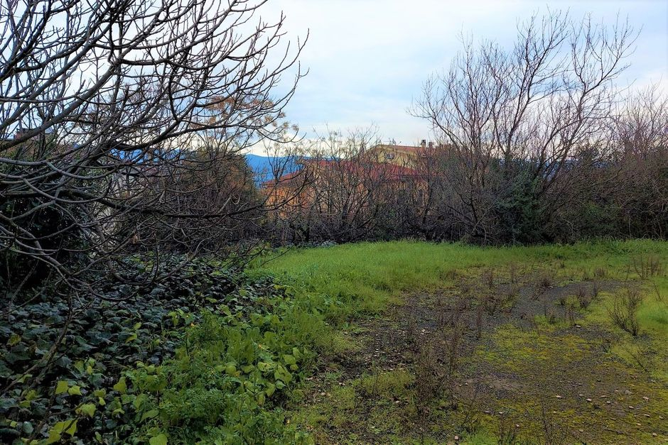 #19452 Complesso artigianale con cortile e pertinenze in vendita - foto 18