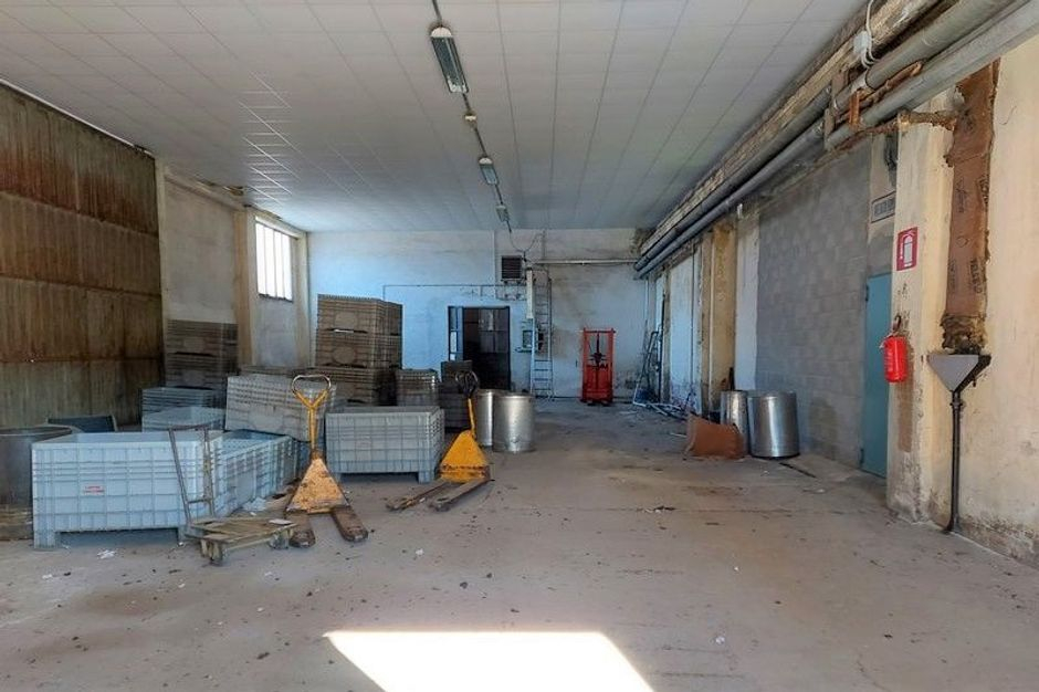 #19836 Due complessi industriali con pertinenze in vendita - foto 7