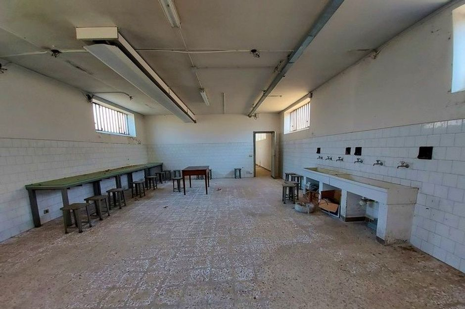 #19836 Due complessi industriali con pertinenze in vendita - foto 14