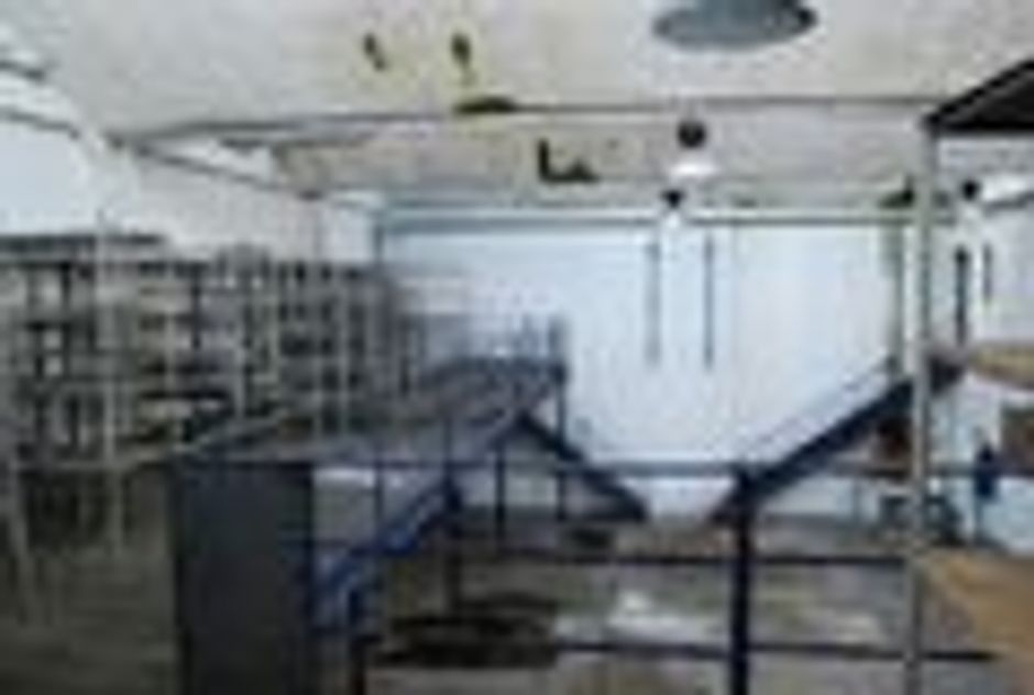 #2152 Laboratorio con uffici in vendita - foto 4