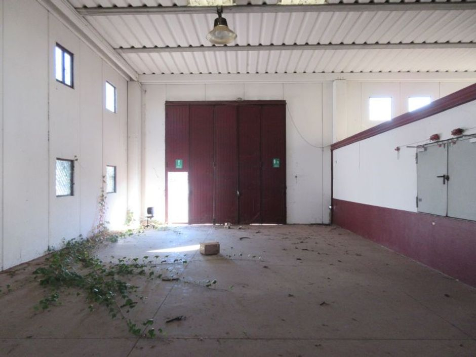 #2213 Capannone con uffici e ampia corte esclusiva in vendita - foto 4