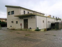 Apartment above commercial premises - Lot 2219 (Auction 2219)