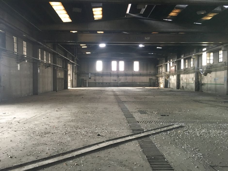#2266 Fabbricato industriale con terreni in vendita - foto 3