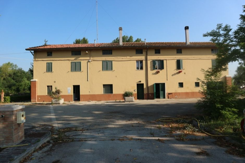 #2291 Complesso produttivo con terreni. Lotto unico in vendita - foto 2