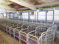Production complex for pig breeding - Lot 3495 (Auction 3495)