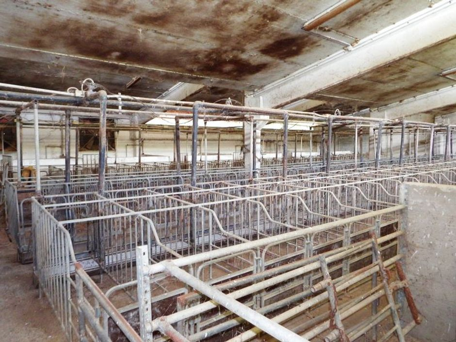 #3495 Complesso per allevamento suinicolo in vendita - foto 2