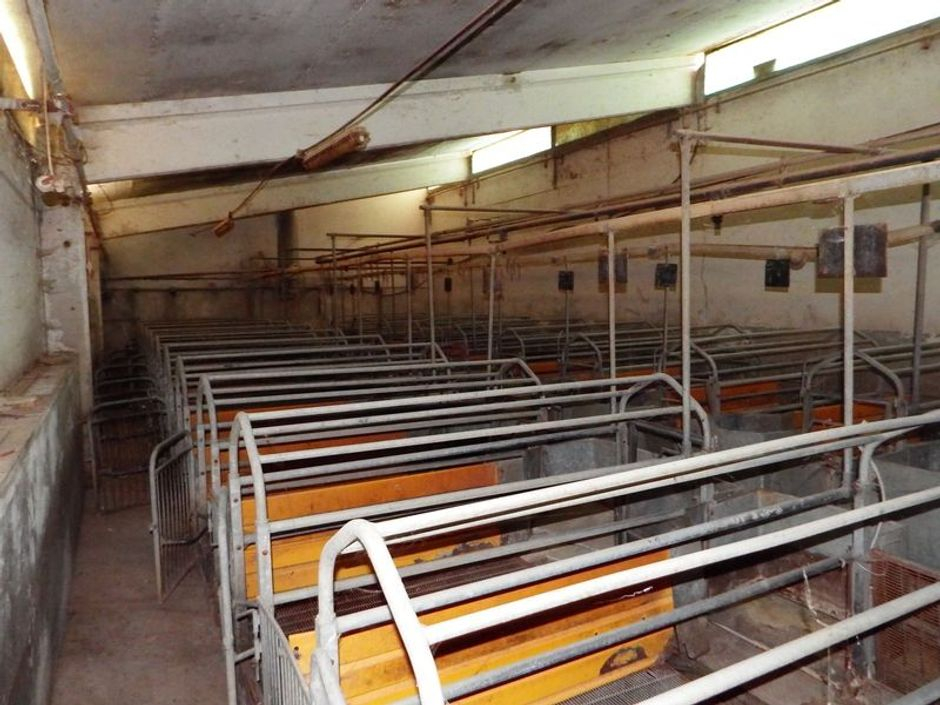 #3495 Complesso per allevamento suinicolo in vendita - foto 7