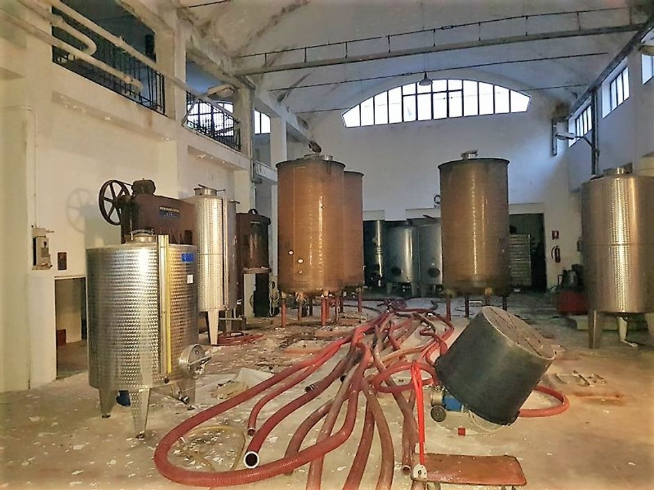 #3668 Complesso industriale con beni mobili in vendita - foto 4