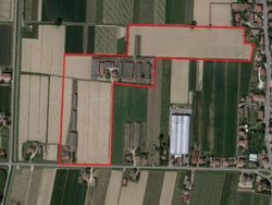 Poultry farm with land and housing - Lot 4466 (Auction 4466)