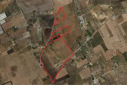 Irrigated agricultural land with vineyard