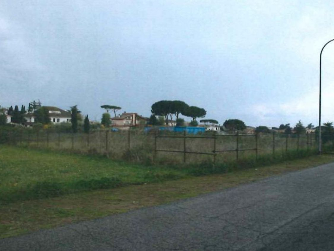 Land Of 1000 Square Meters Land Of 1000 Square Meters