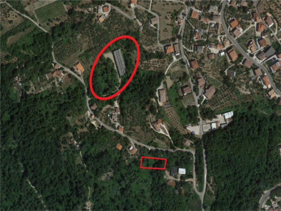 #4635 Capannone in corso di costruzione e terreni agricoli in vendita - foto 3