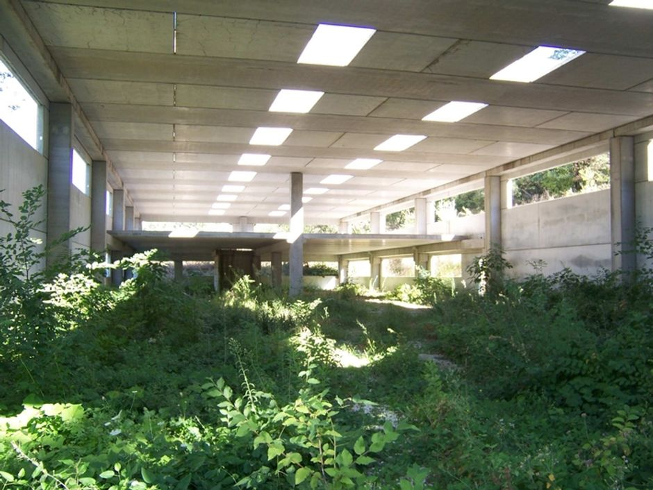 #4635 Capannone in corso di costruzione e terreni agricoli in vendita - foto 5