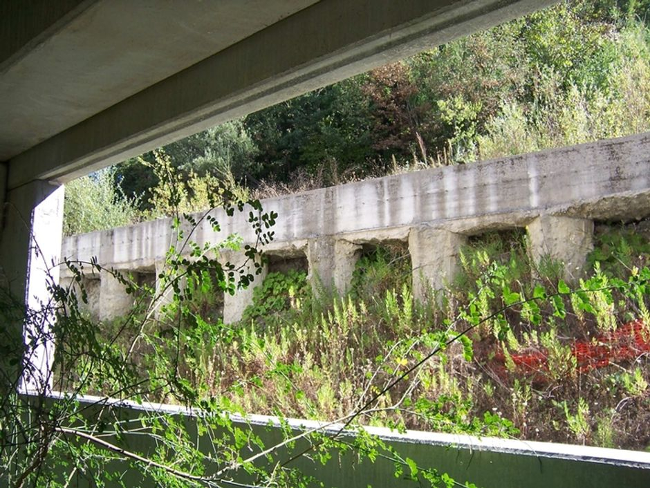 #4635 Capannone in corso di costruzione e terreni agricoli in vendita - foto 6