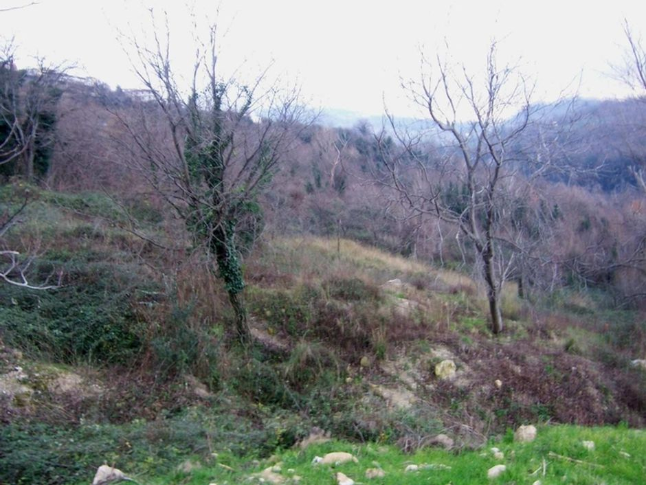 #4635 Capannone in corso di costruzione e terreni agricoli in vendita - foto 8