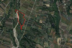 Terreno agricolo e boschivo di 87.890 mq - Lotto 4764 (Asta 4764)